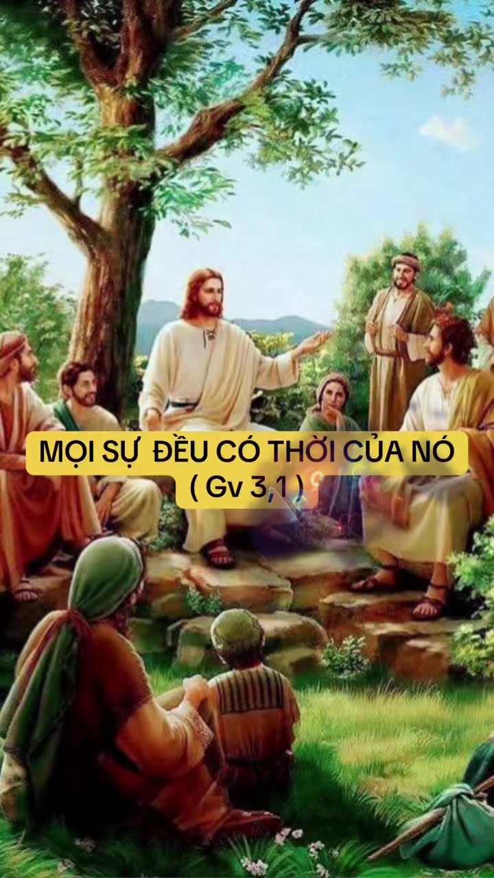 @phcnguyn328