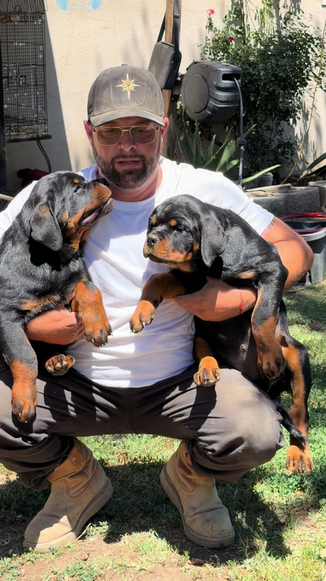 @✨VON DER MUÑOZ ROTT’S✨