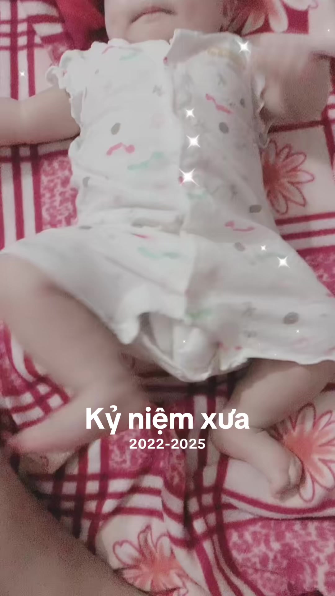 @Nấm 🍄🇻🇳