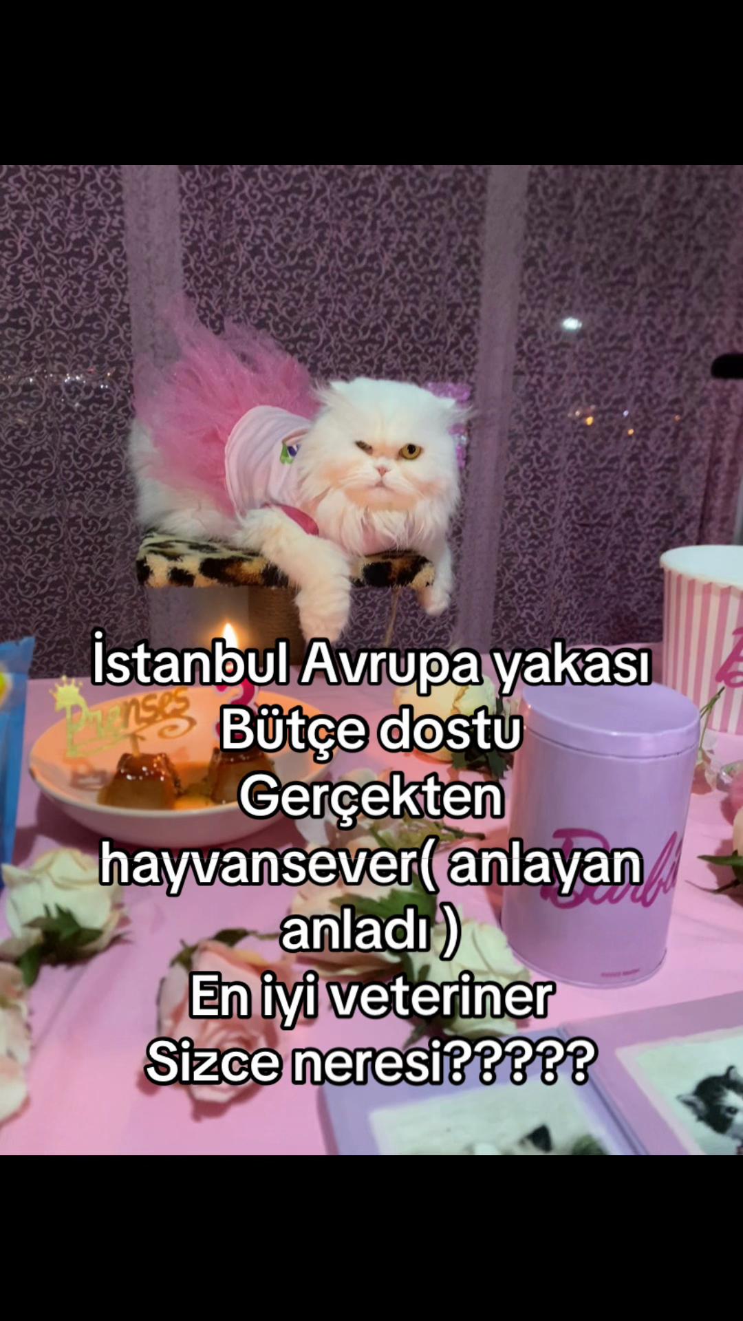 @yudummz_