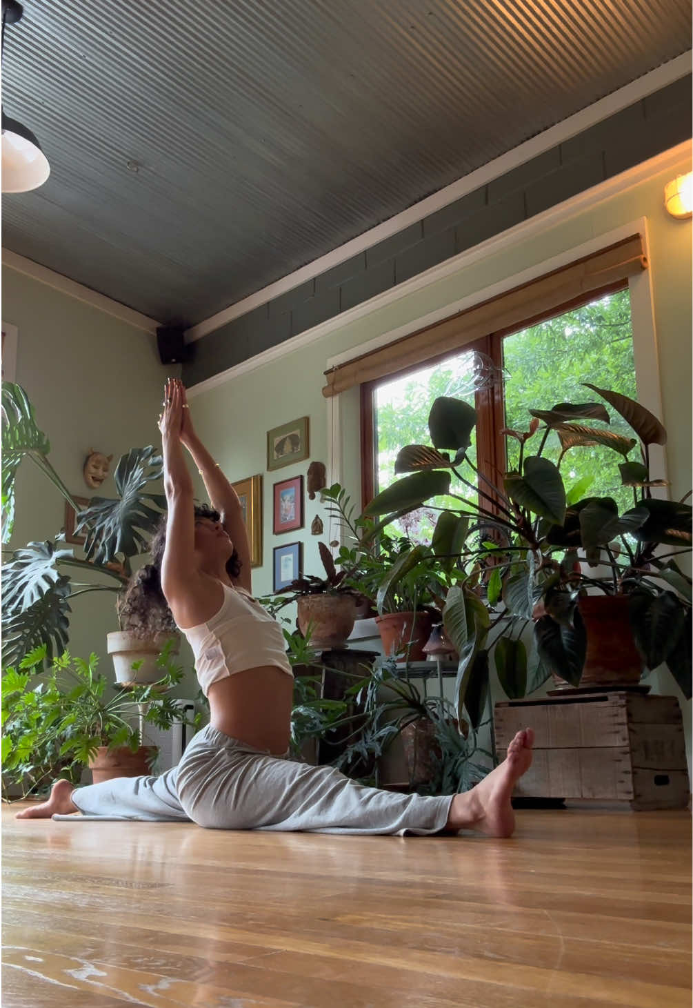 @yogi kenzie ⋆˚꩜。⋆₊⊹