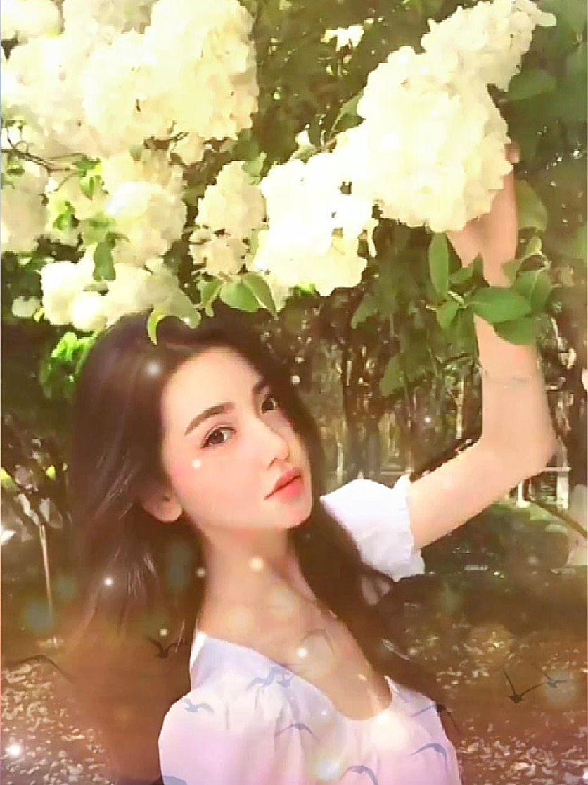@🦋だーこの🦋