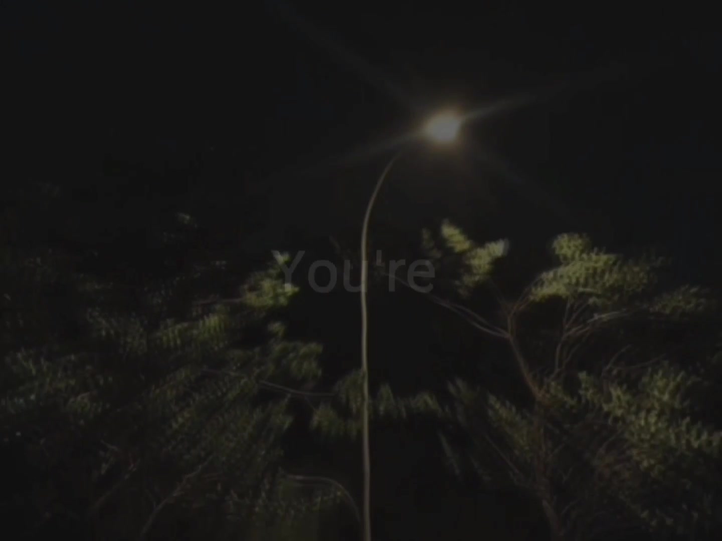 @𝐑𝐢𝐚𝐧_𝐥𝐲𝐫𝐢𝐜𝐬.