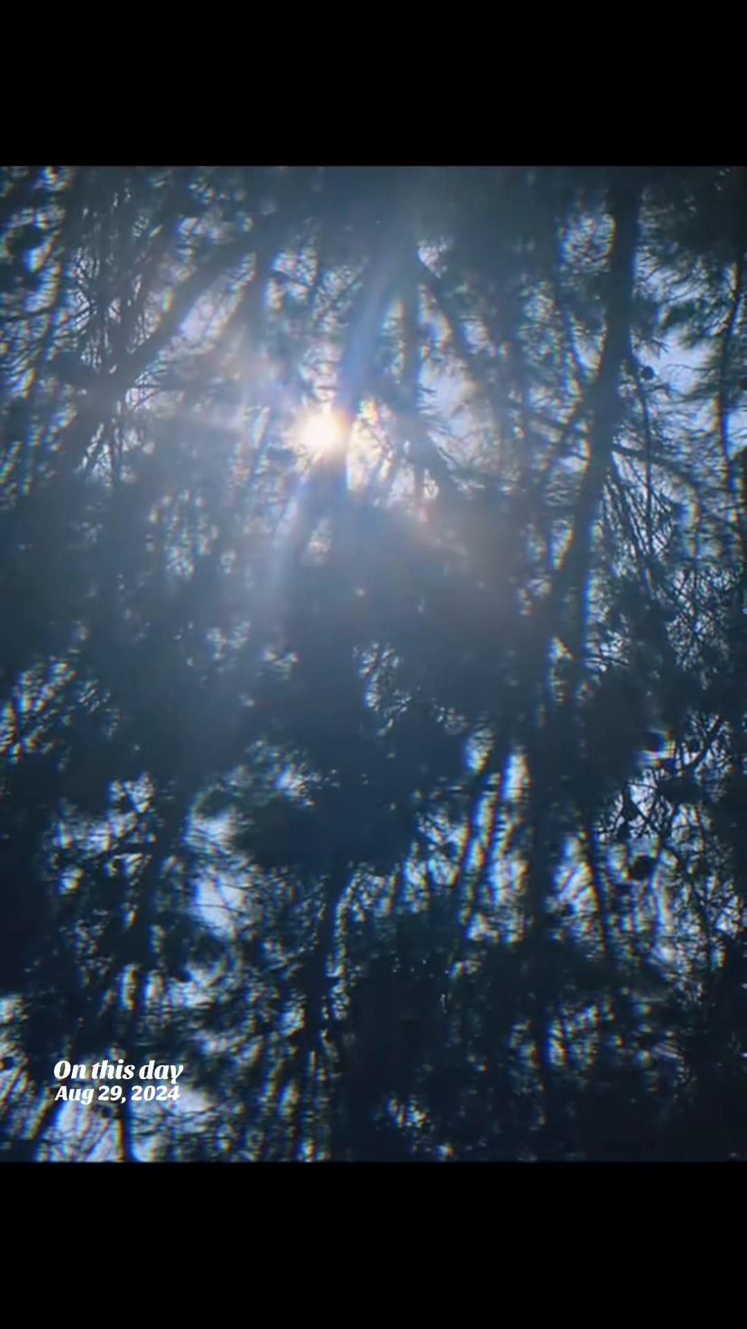 @🐉MA👁️🌹RA☀️717🪽