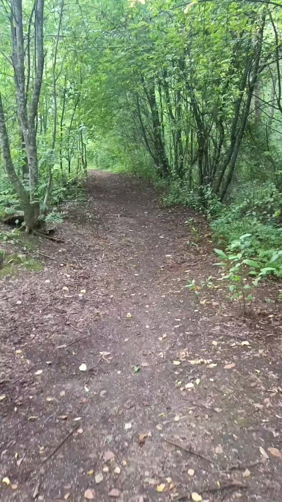 @мучачо