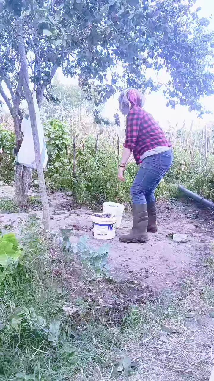 @Dilber836