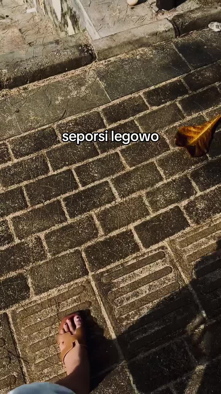 @𝑒𝓁𝓁𝒶