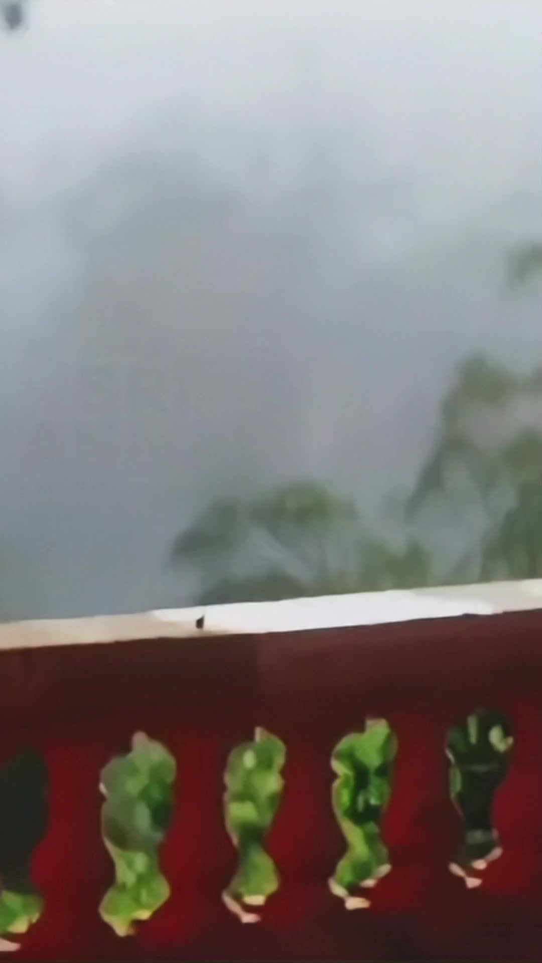 @𝕾.𝕸.𝕽𝖆𝖏𝖆..🎶