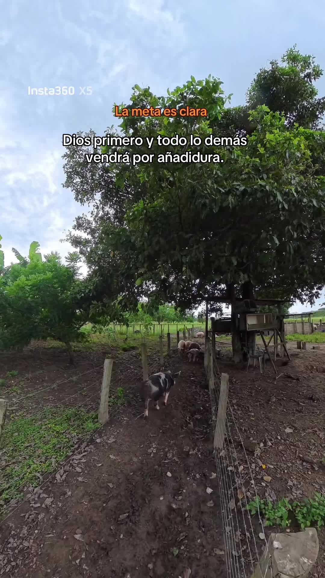 @Enma Martinez