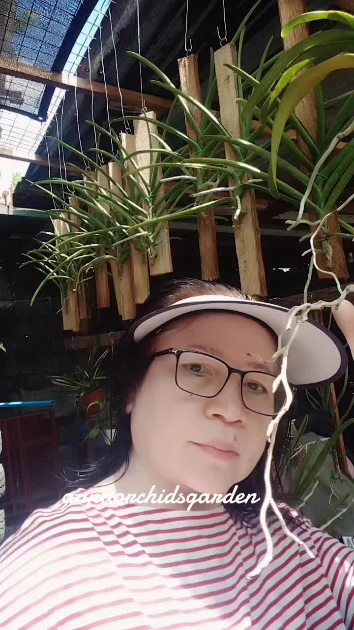 @Anna J