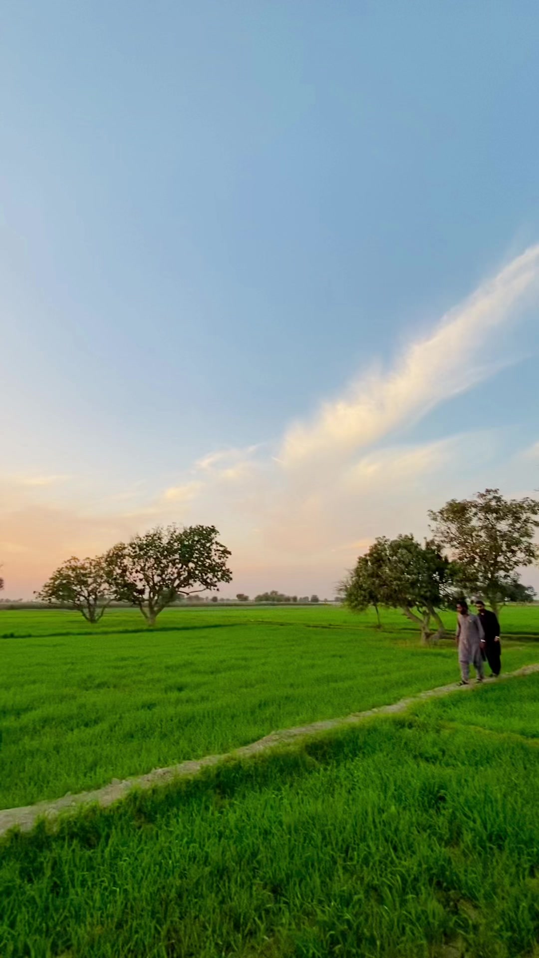 @ZulqernainMahar