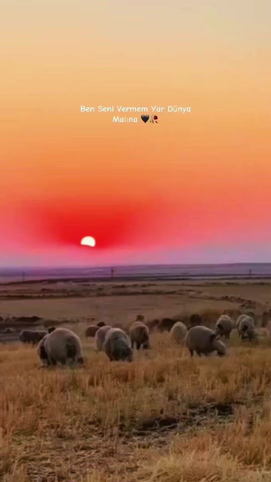 @𝐌𝐢𝐫𝐳𝐚 :)