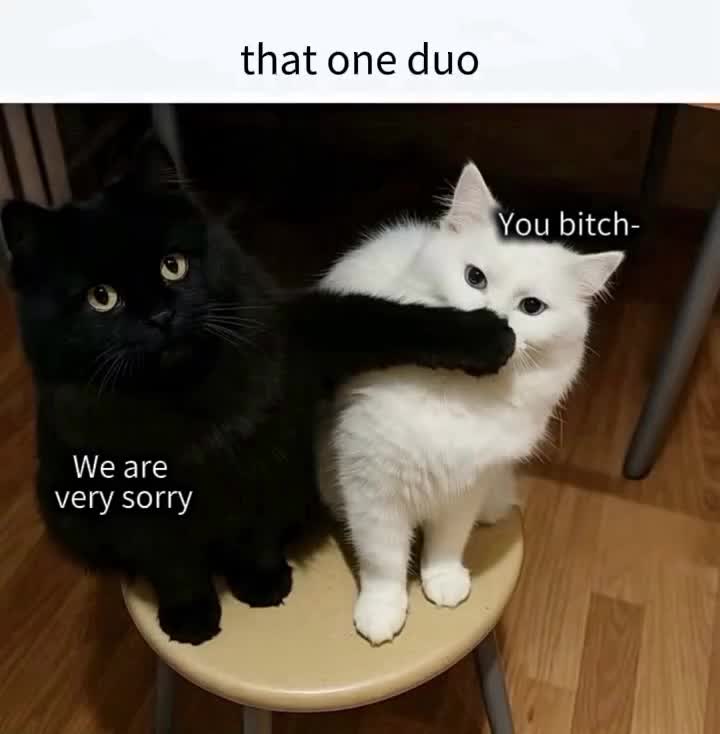 @Dark_moon