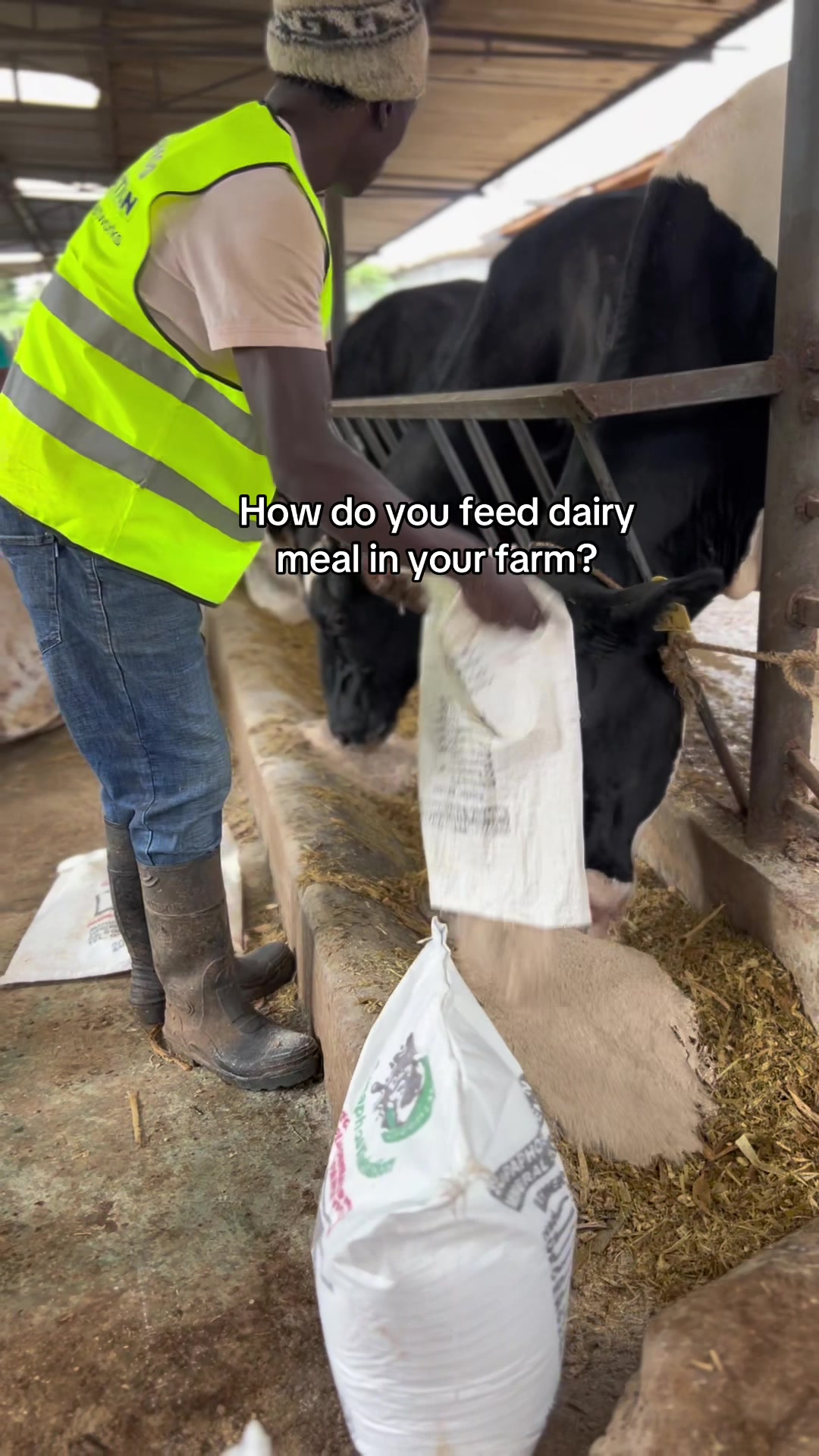 @Dairynetworks