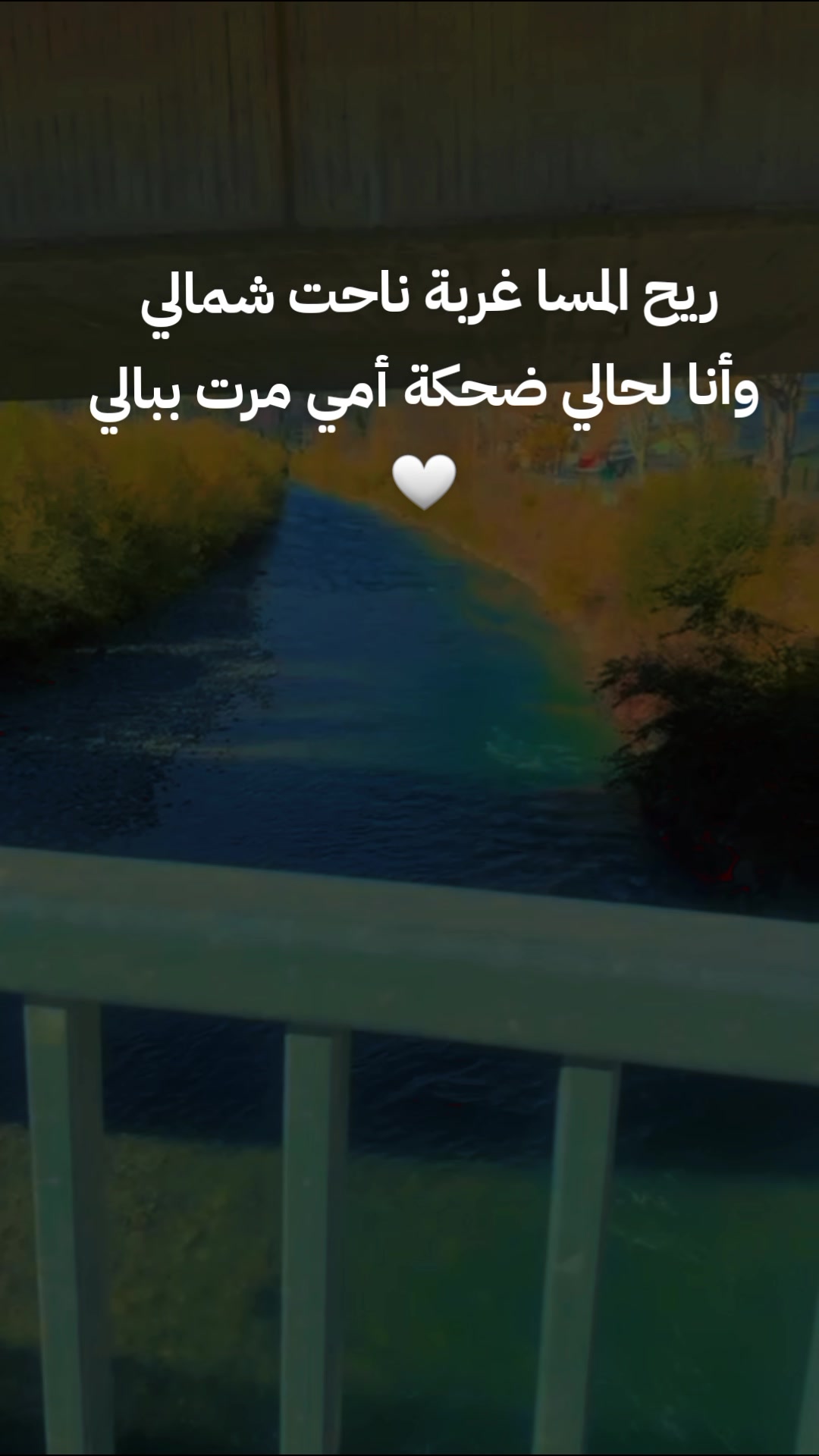 @⭐🧿🦋سنيوريتا أم اللول👑🦋