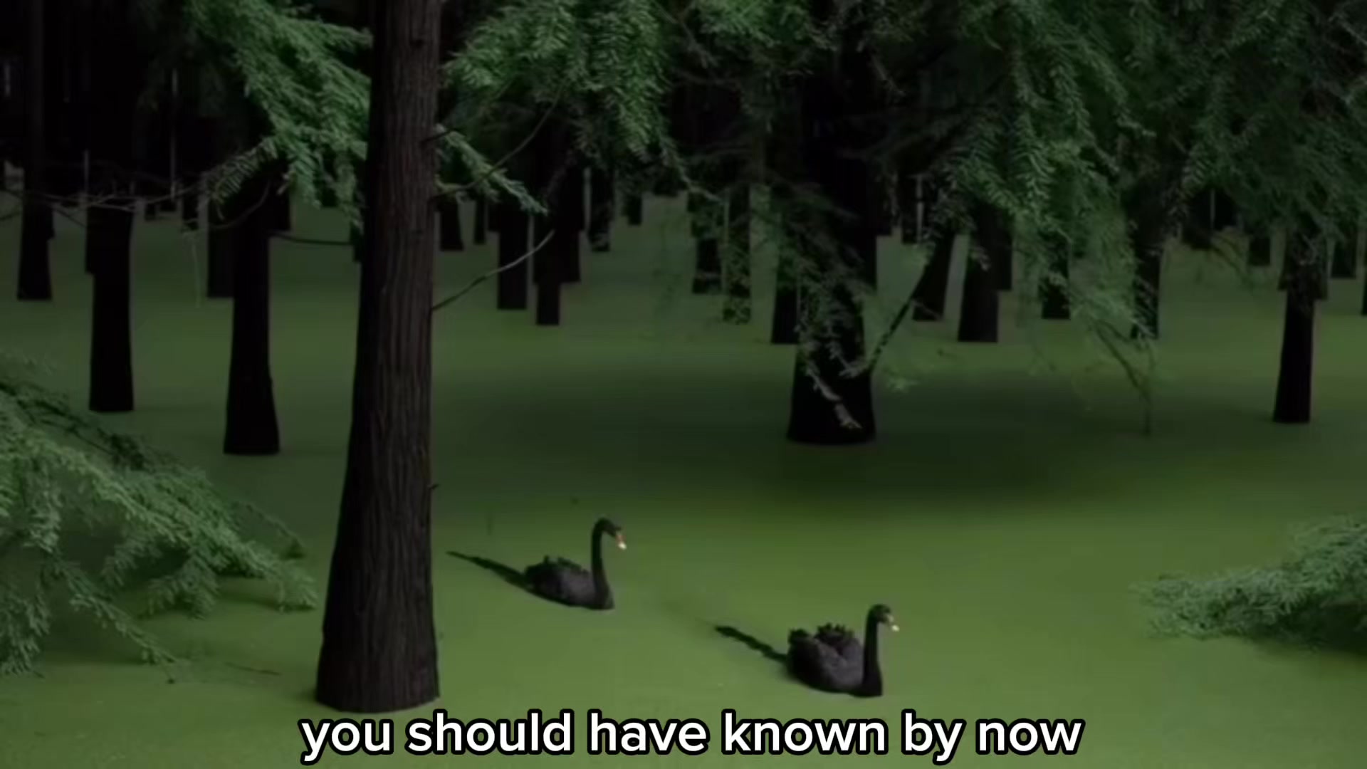@SEHB
