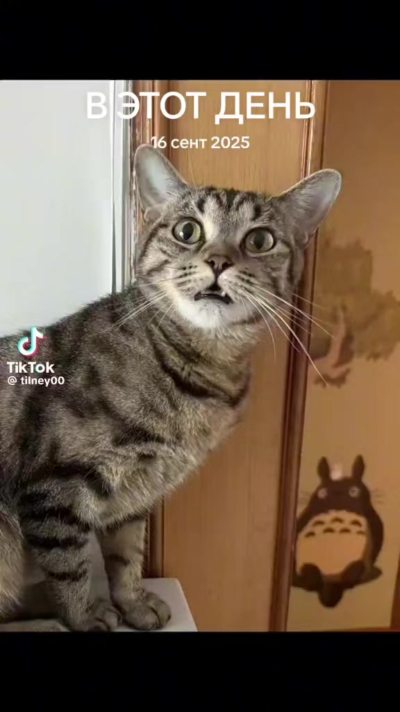 @Гений👑
