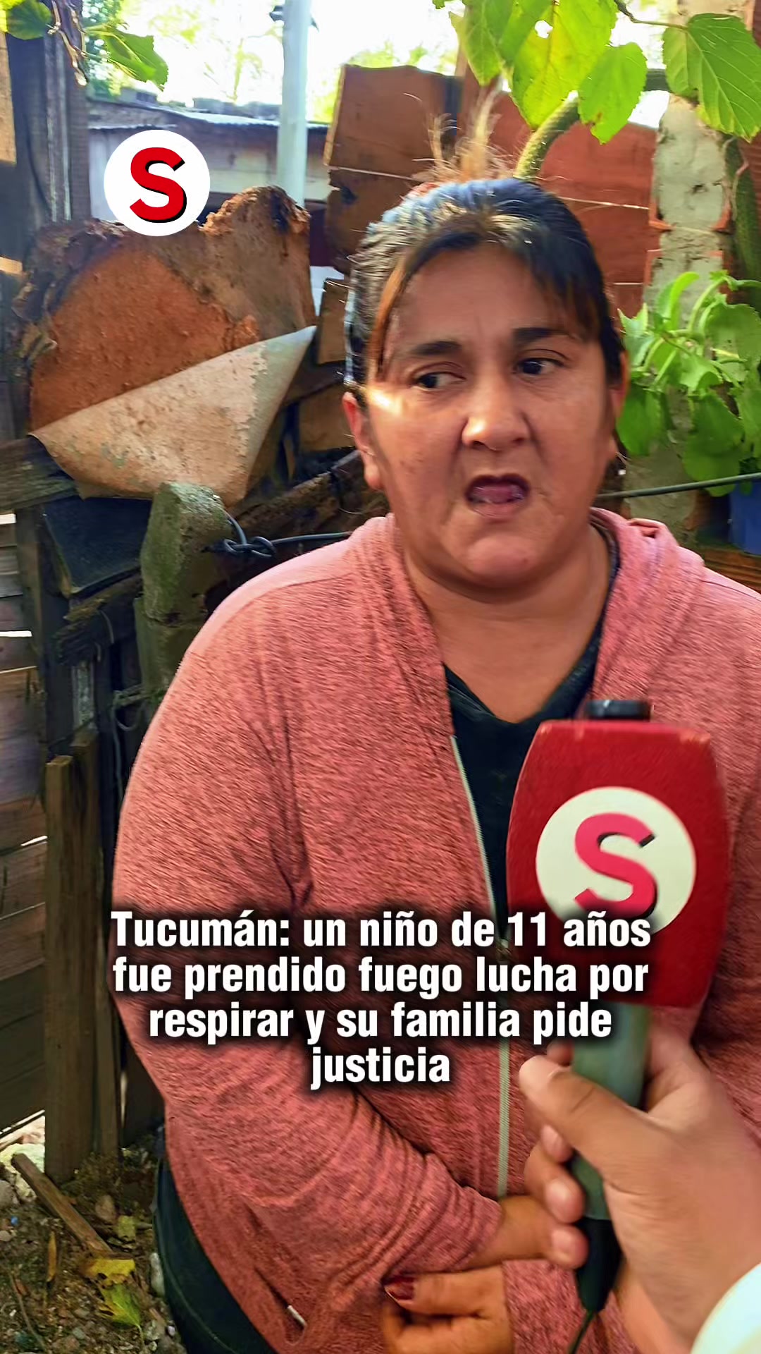@SIN_CODIGO_TUCUMAN