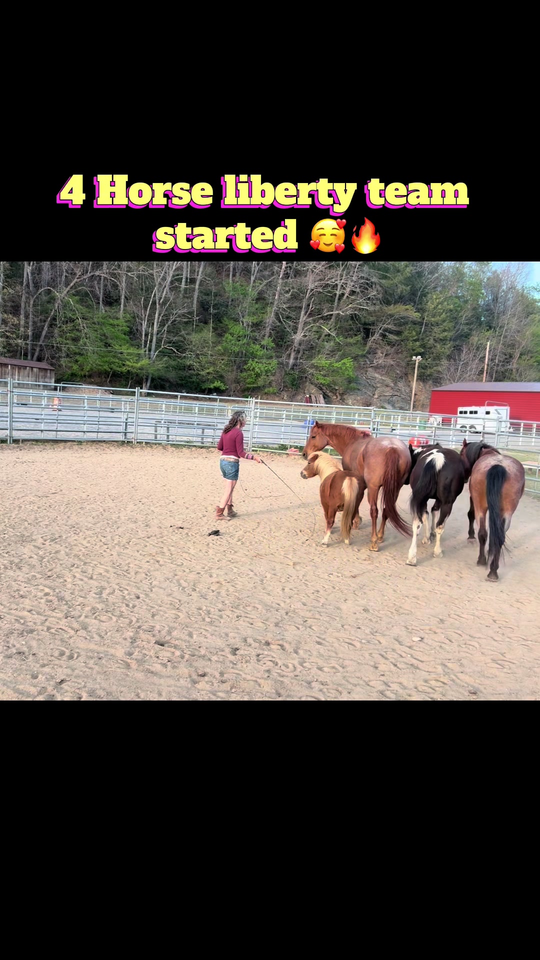 @Janet..Fuzzy.farm.gang