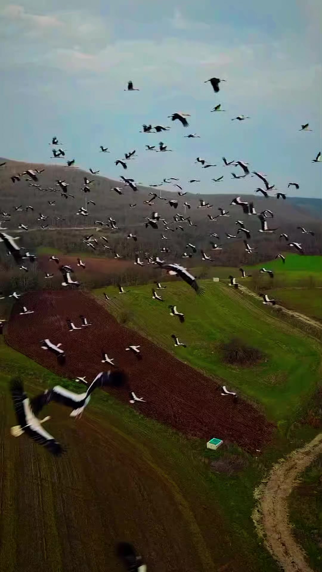@Kur'an_ayet_hadis_ve_du&acirc;