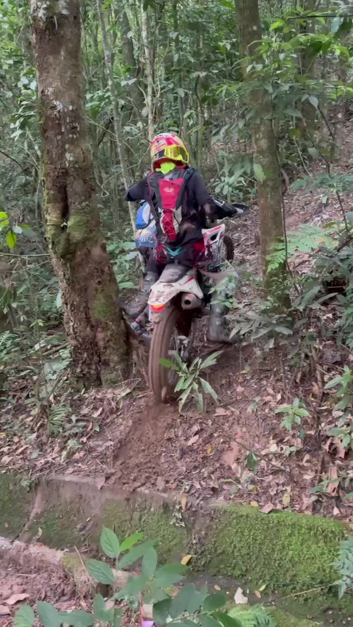@Daniel De Oliveira D