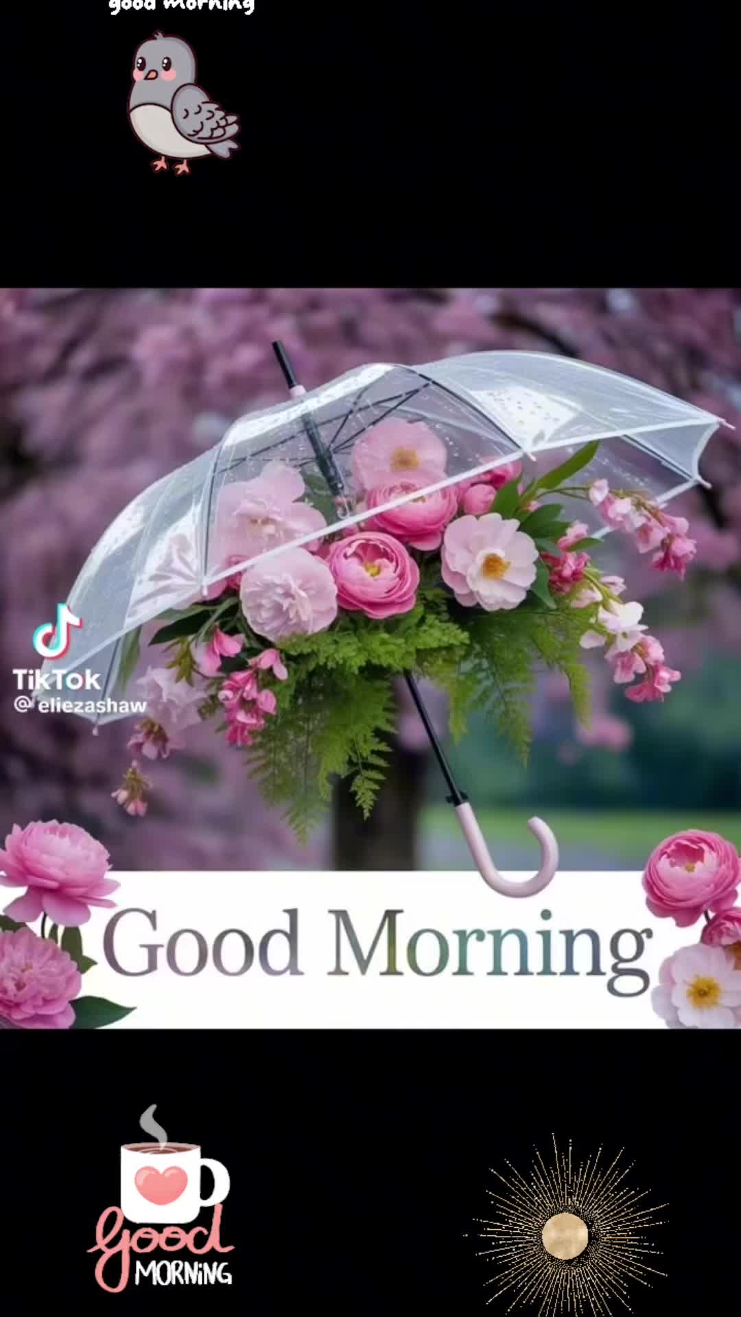 @David Amachee632
