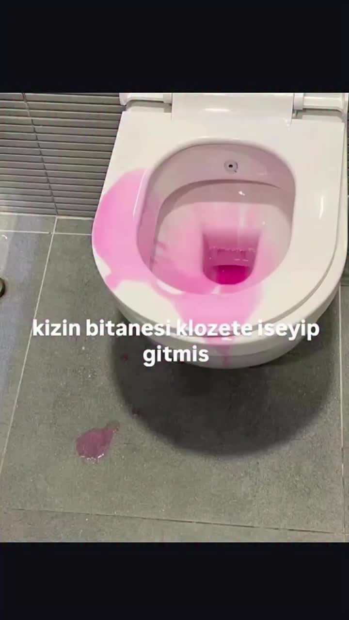 @lanetkel