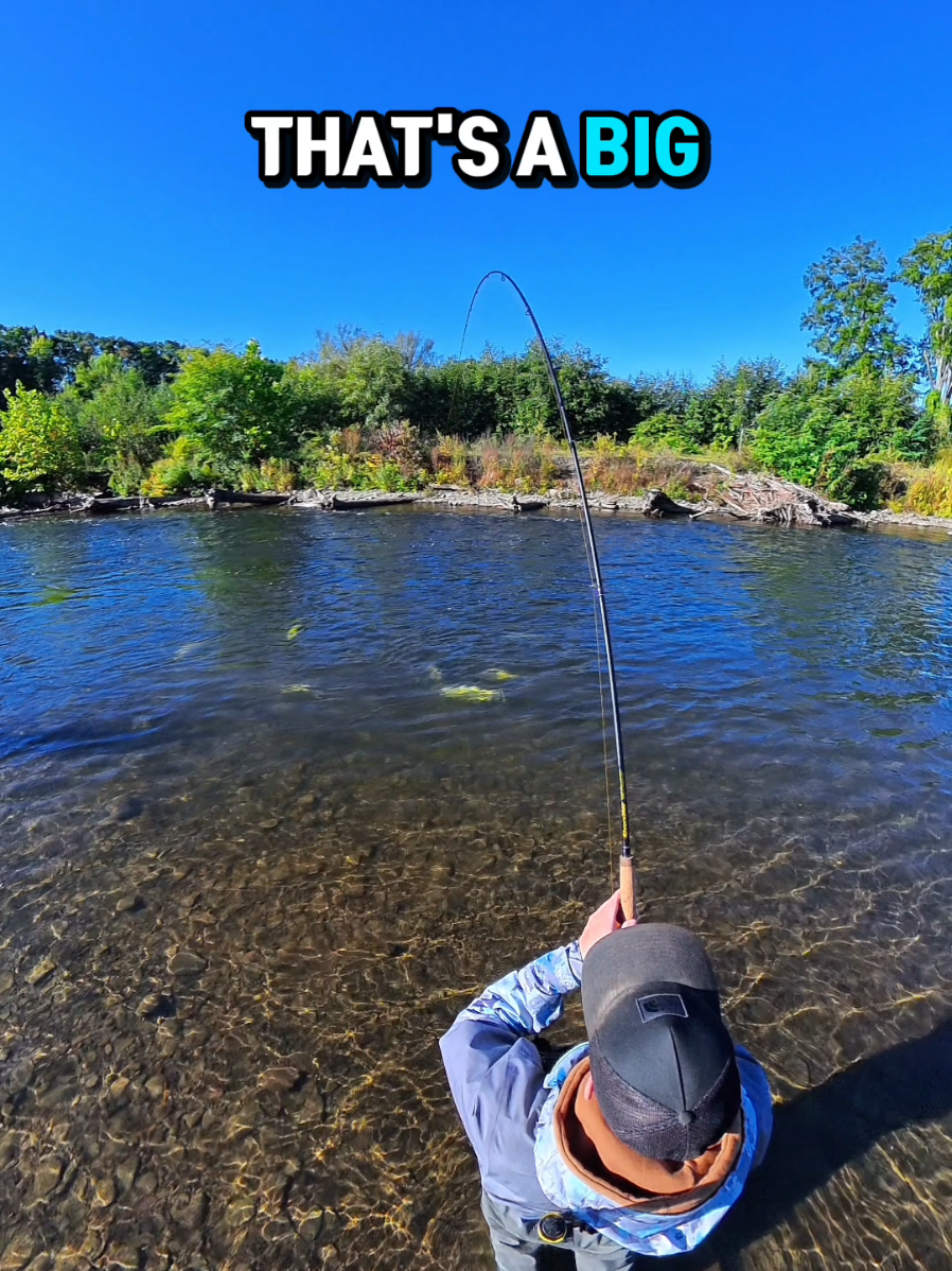 @the360angler