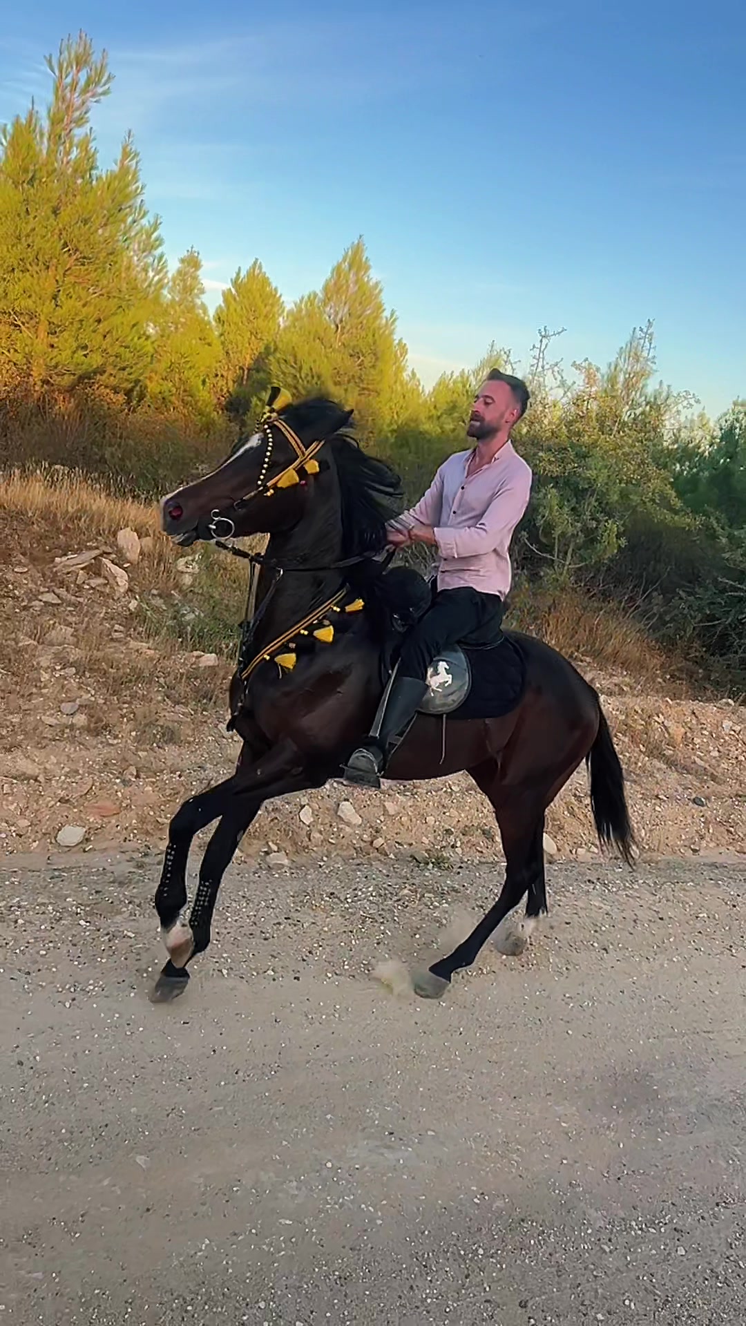 @Emre Kuş