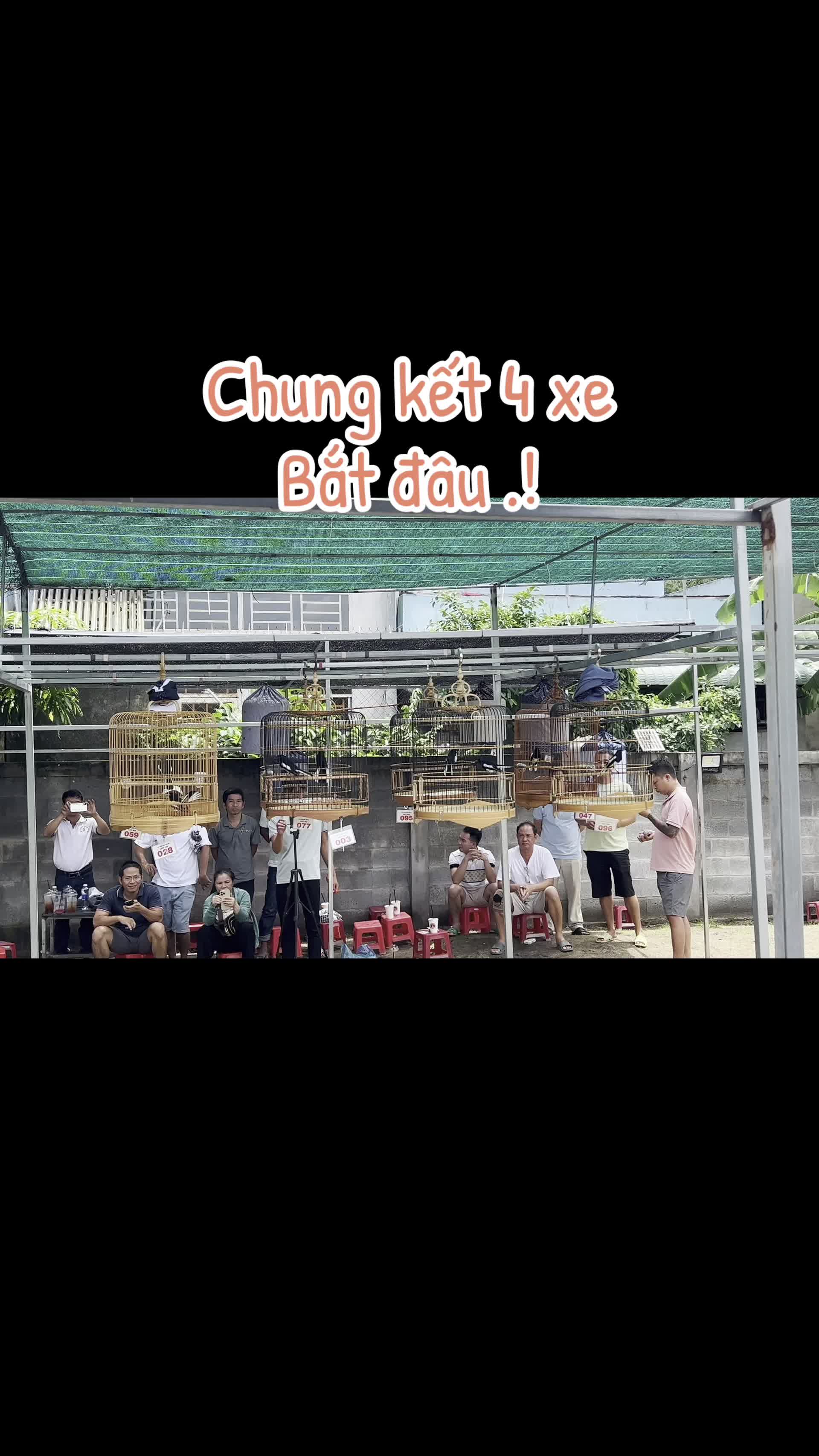 @Thanh Huynh .62