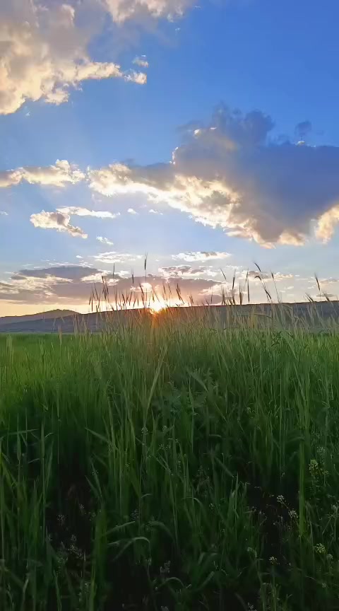 @doga_nefes