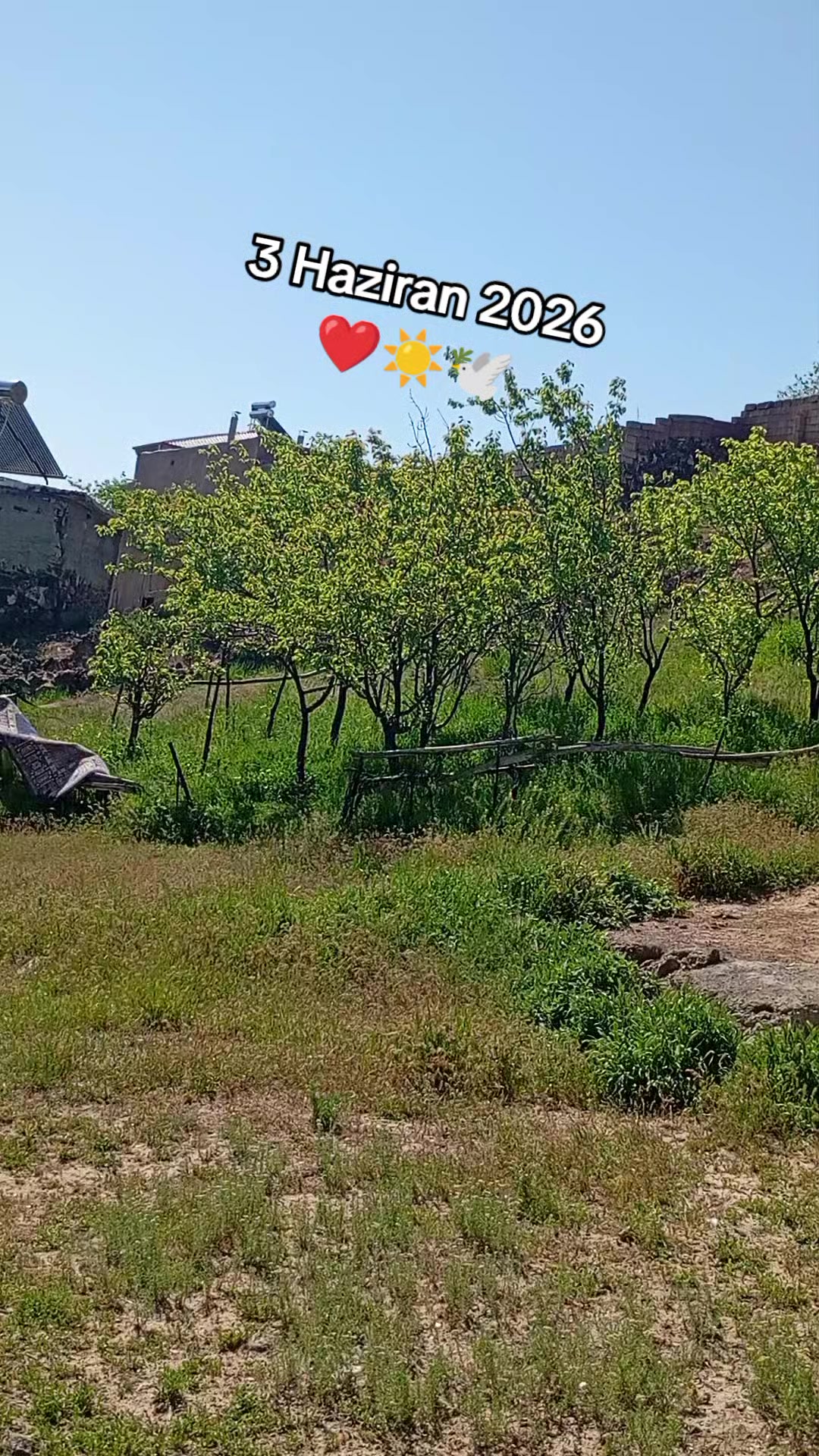 @bazidli adem04