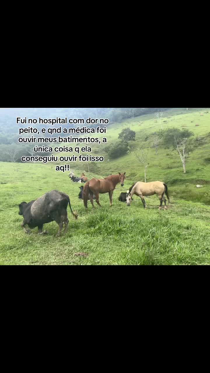@Vitória