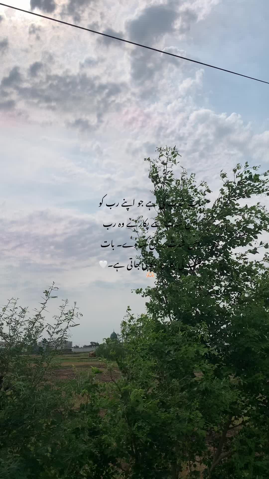 @☾✩⋆