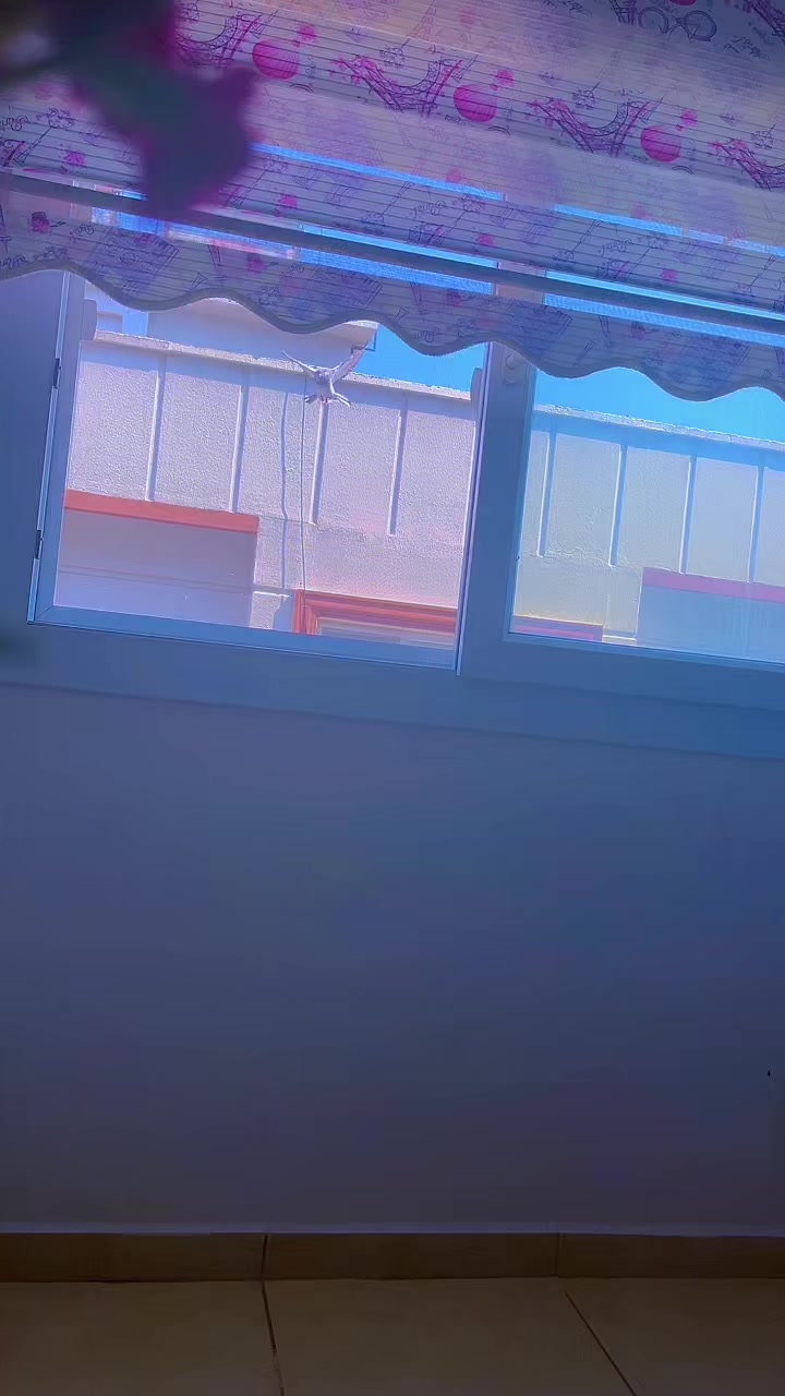 @ZEYNO