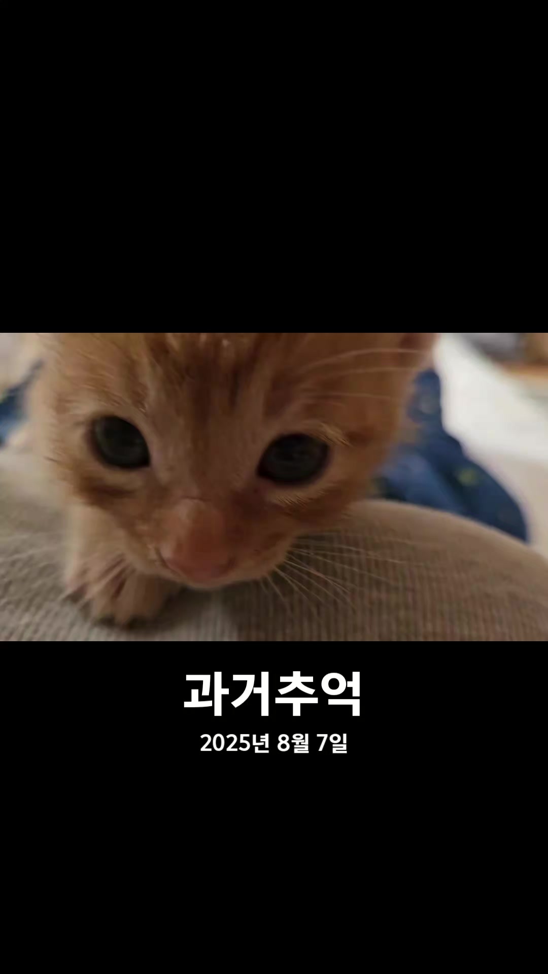 @๐ฉต๋ฅ๋ฅ์ดํ์ฐ์ค 14๋ฅ2๋ฉ๐