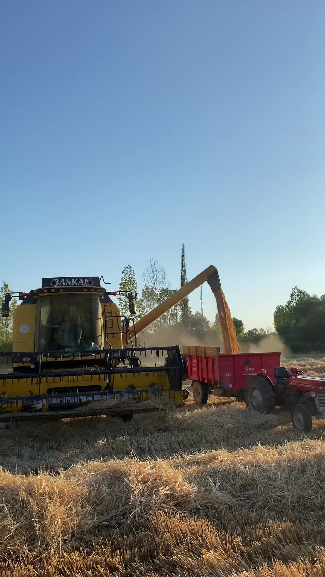 @Yahya Arıkan