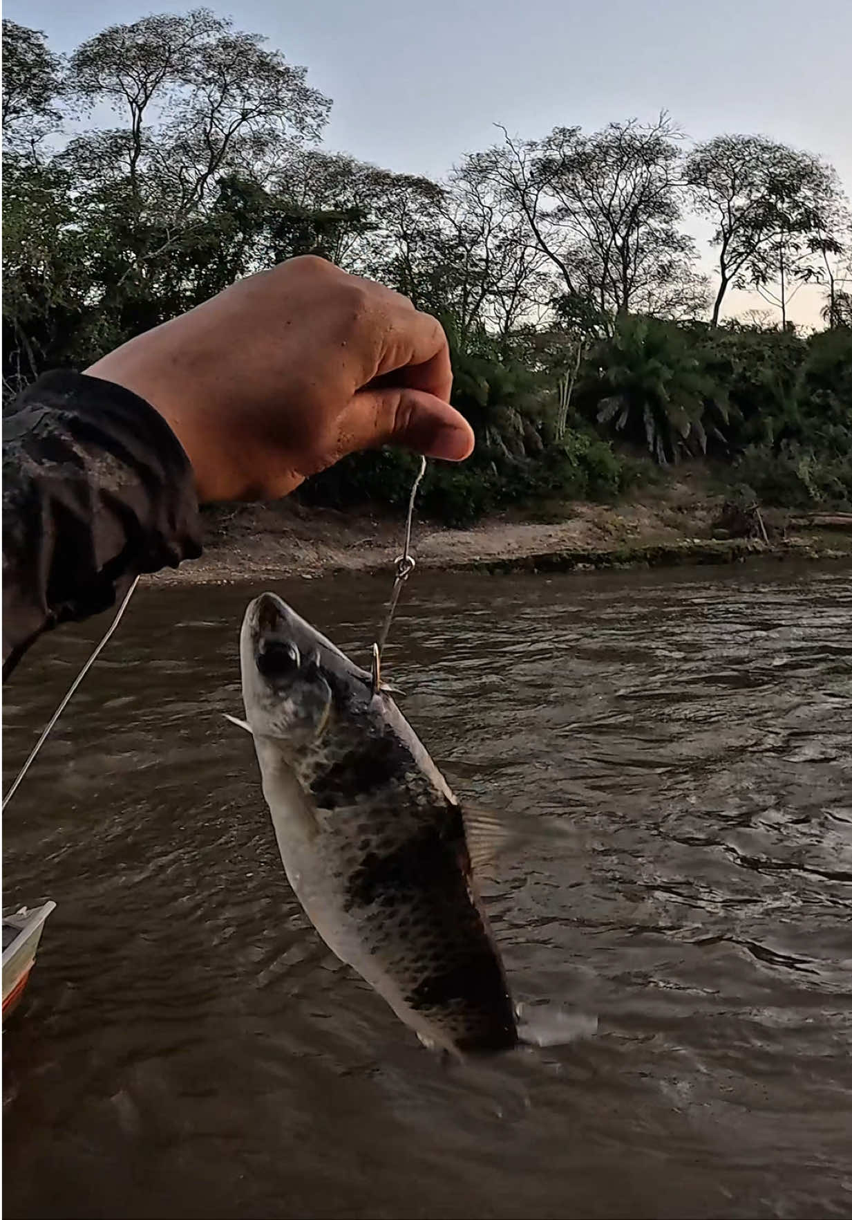 @Magrão Pesca