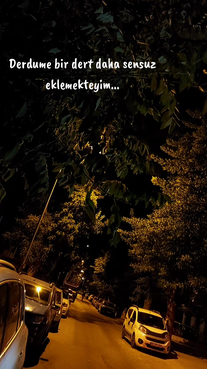 @Gökhan Atay 0653