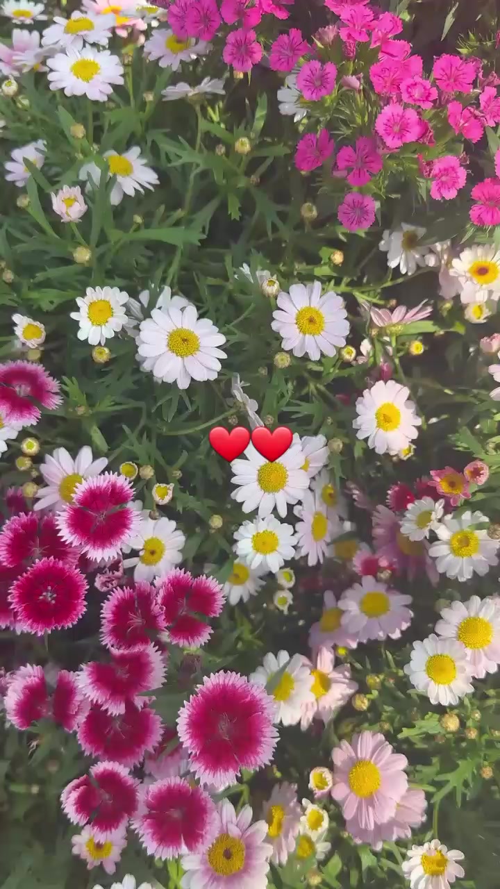 @Donnađšđ°