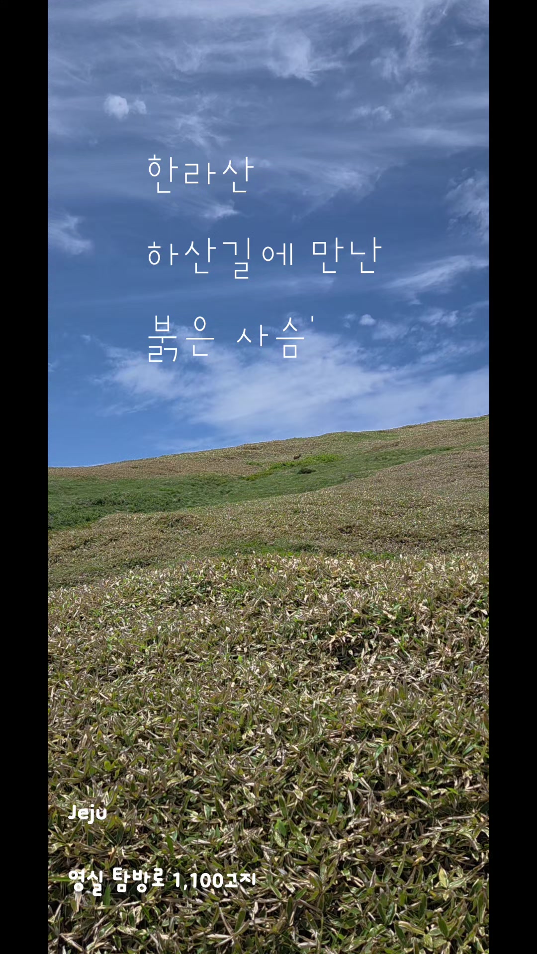 @참파