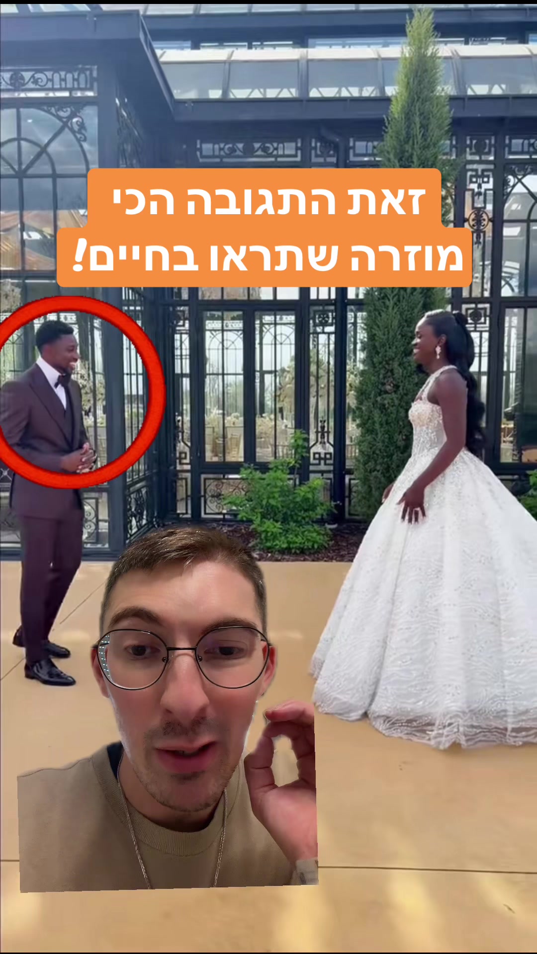 @אלי שקולניק