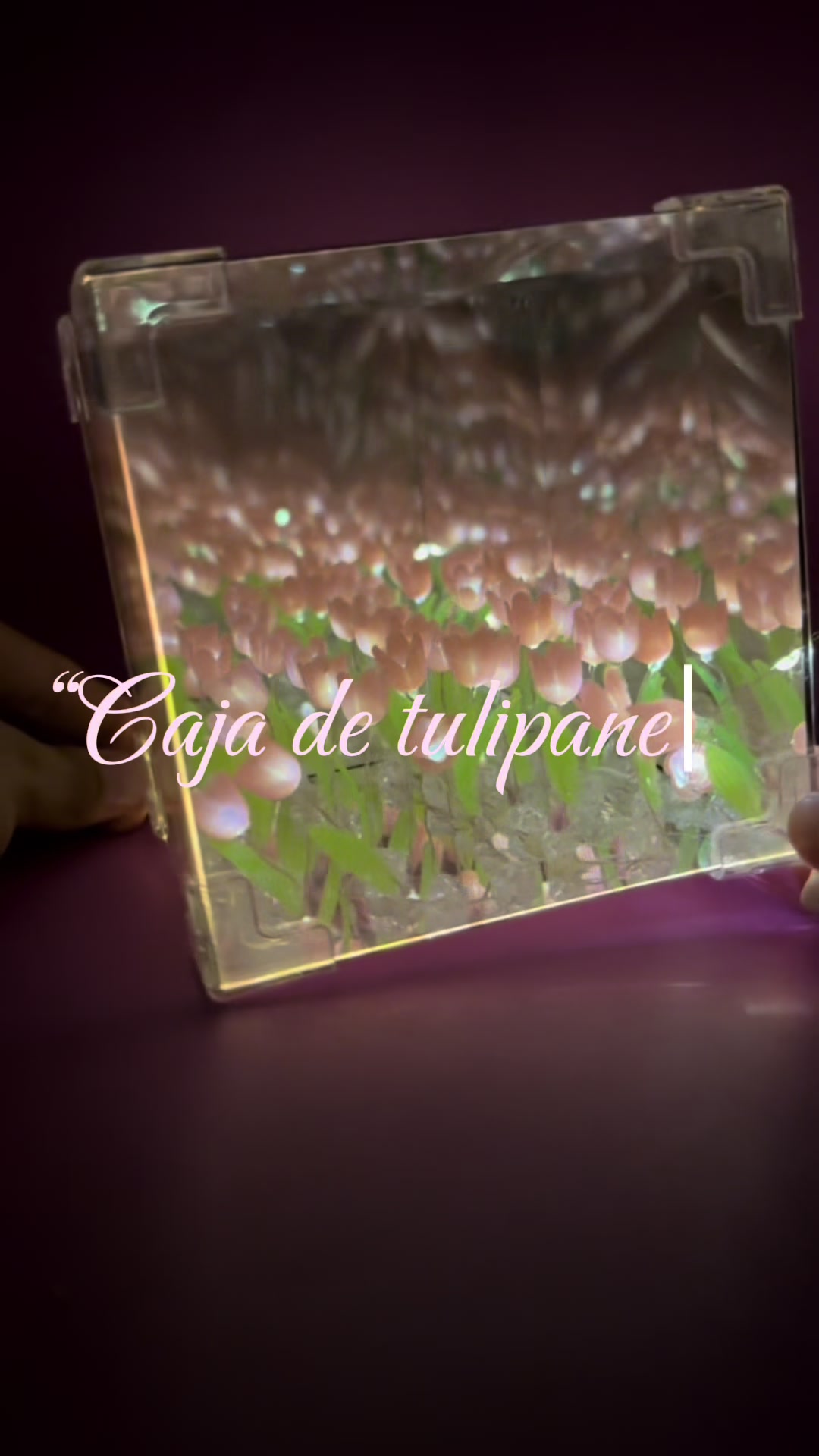 @Daniel Lua