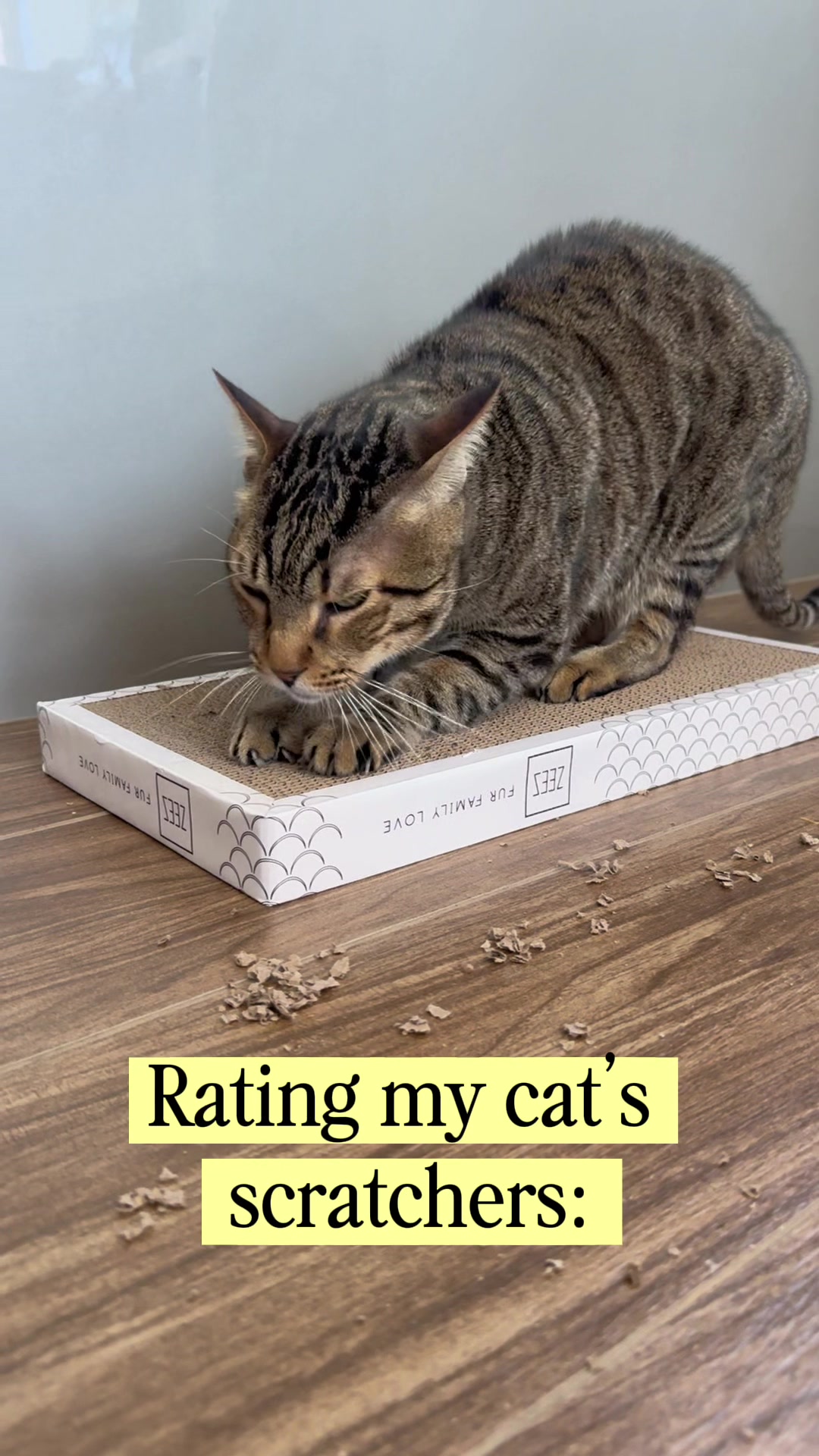 @Cat Tigrous