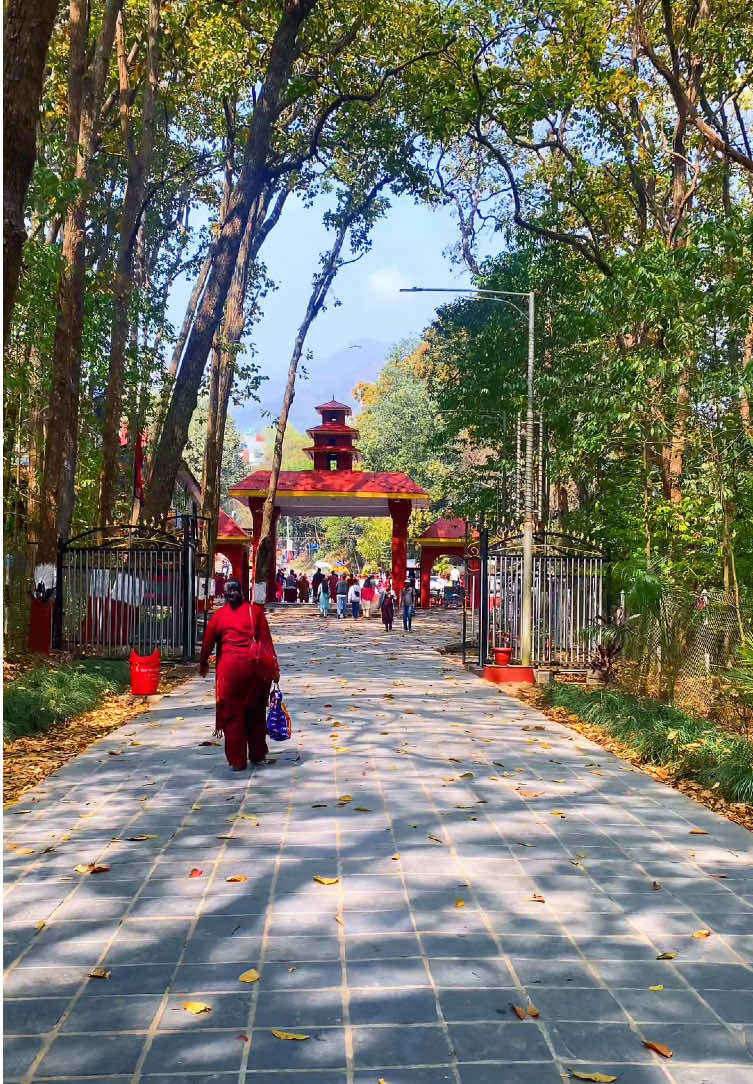 @ganeshexplore