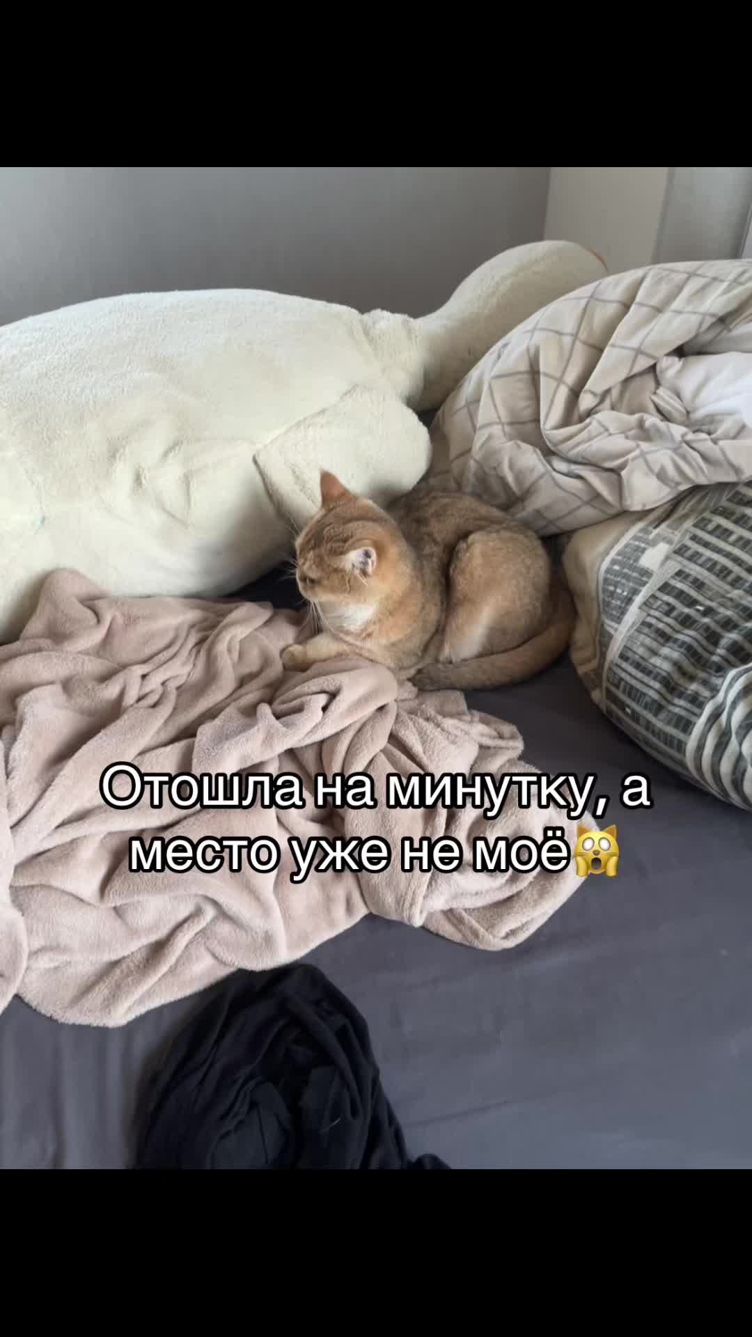 @Пупсик