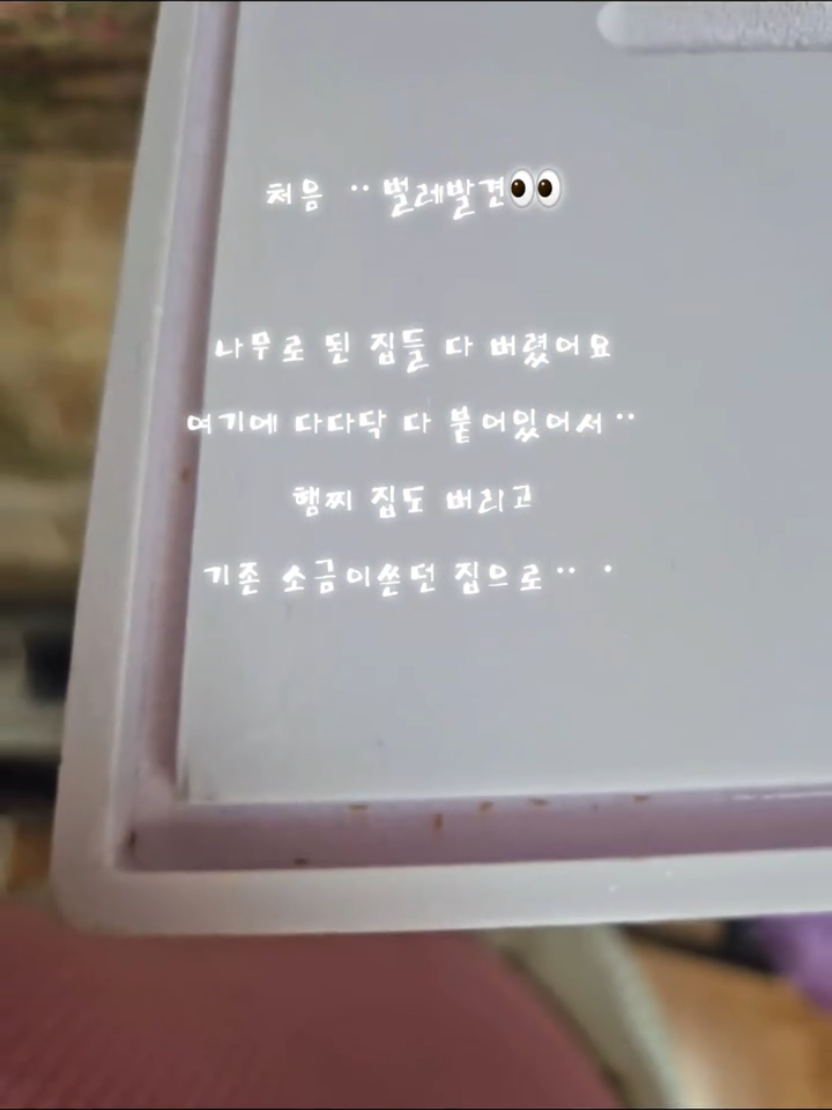 @햄찌🐹소금이🐭🌸푸딩이
