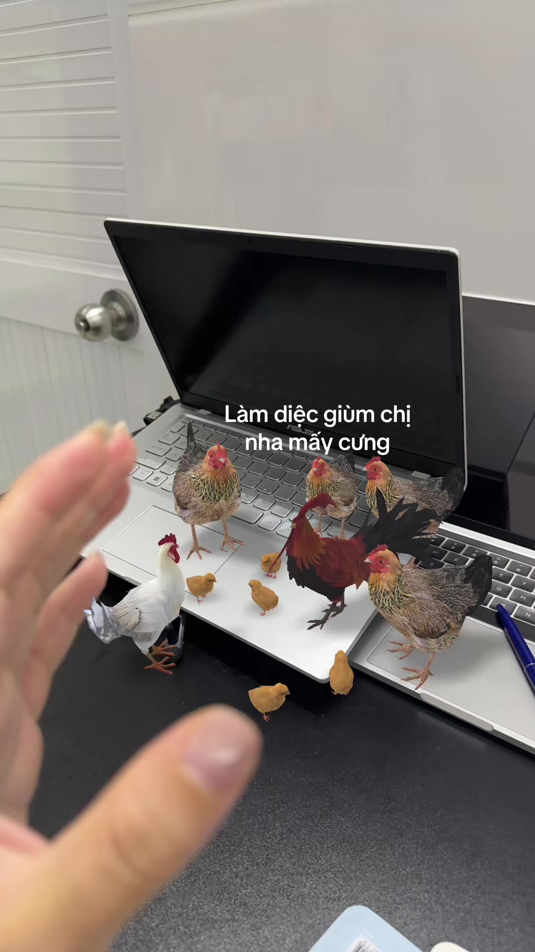 @Diên Diên