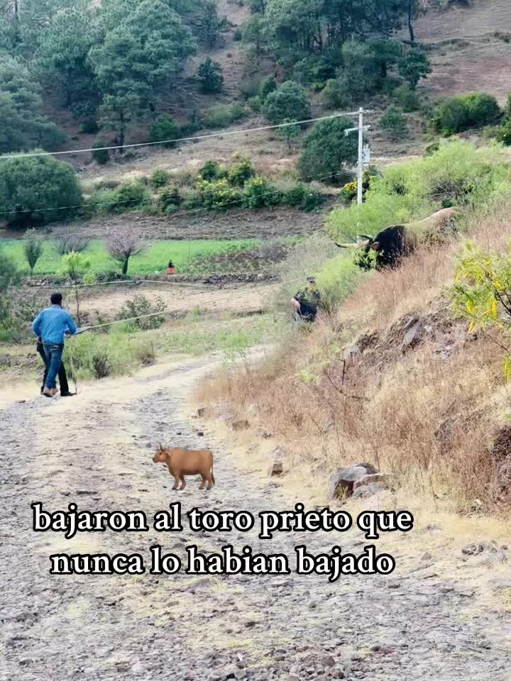 @🇲🇽Melissa.Oseguera.Oficial.