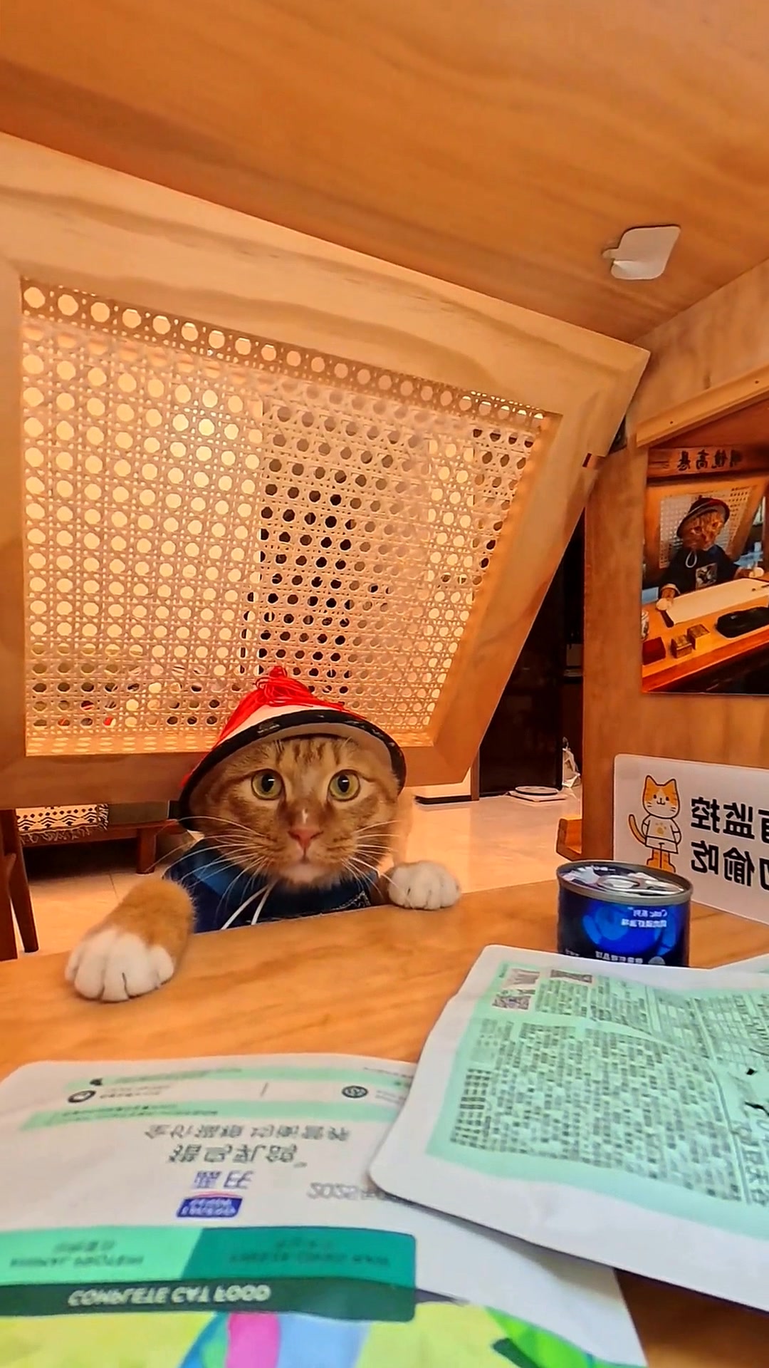 @Jijmeowl
